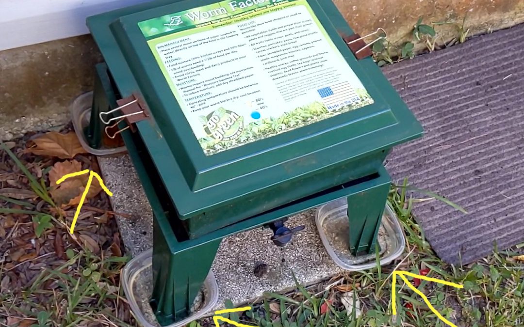 "soap moats" keep the ants out of your bin